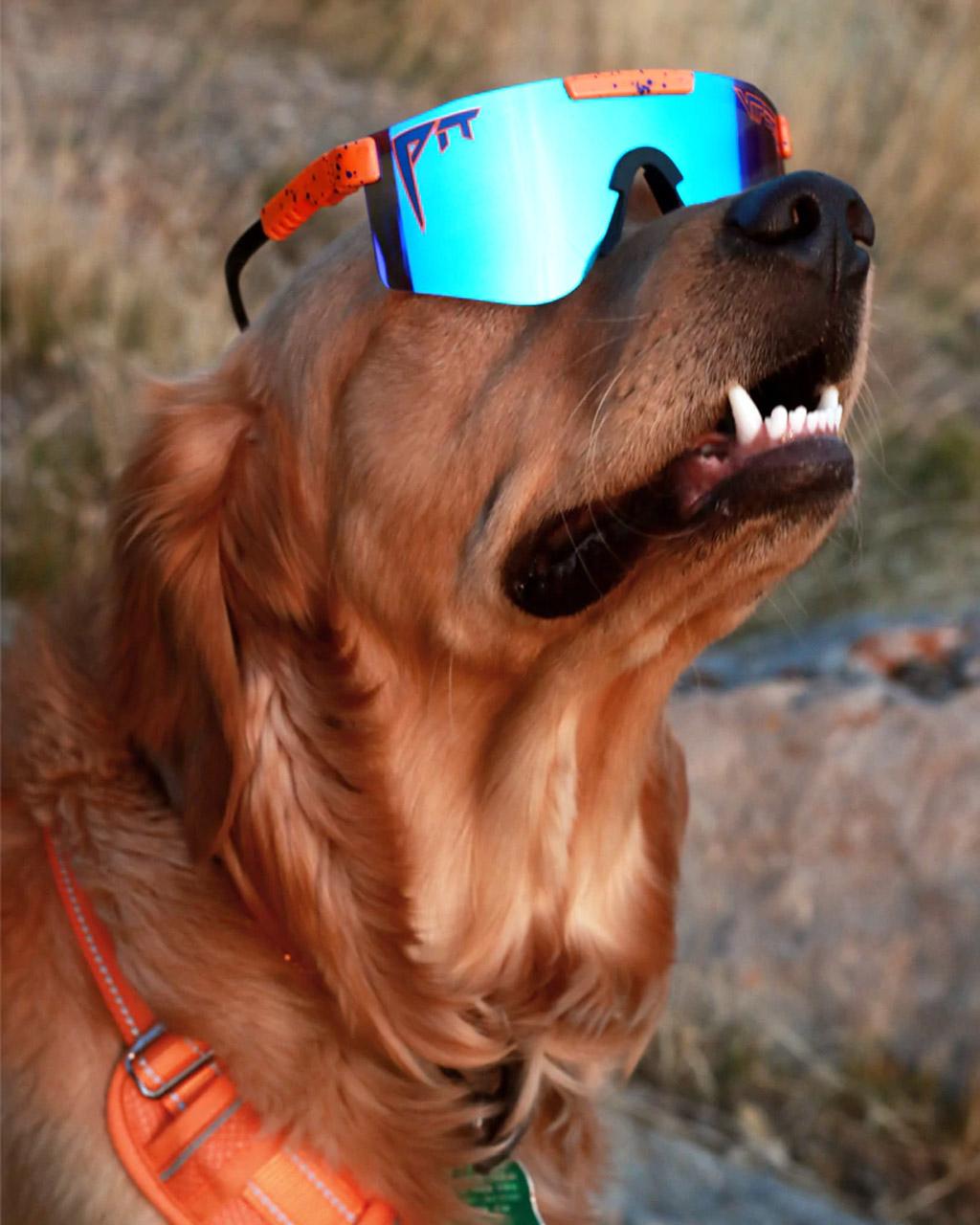 Product gallery image number 4 for product The Crush Polarized Sunglasses