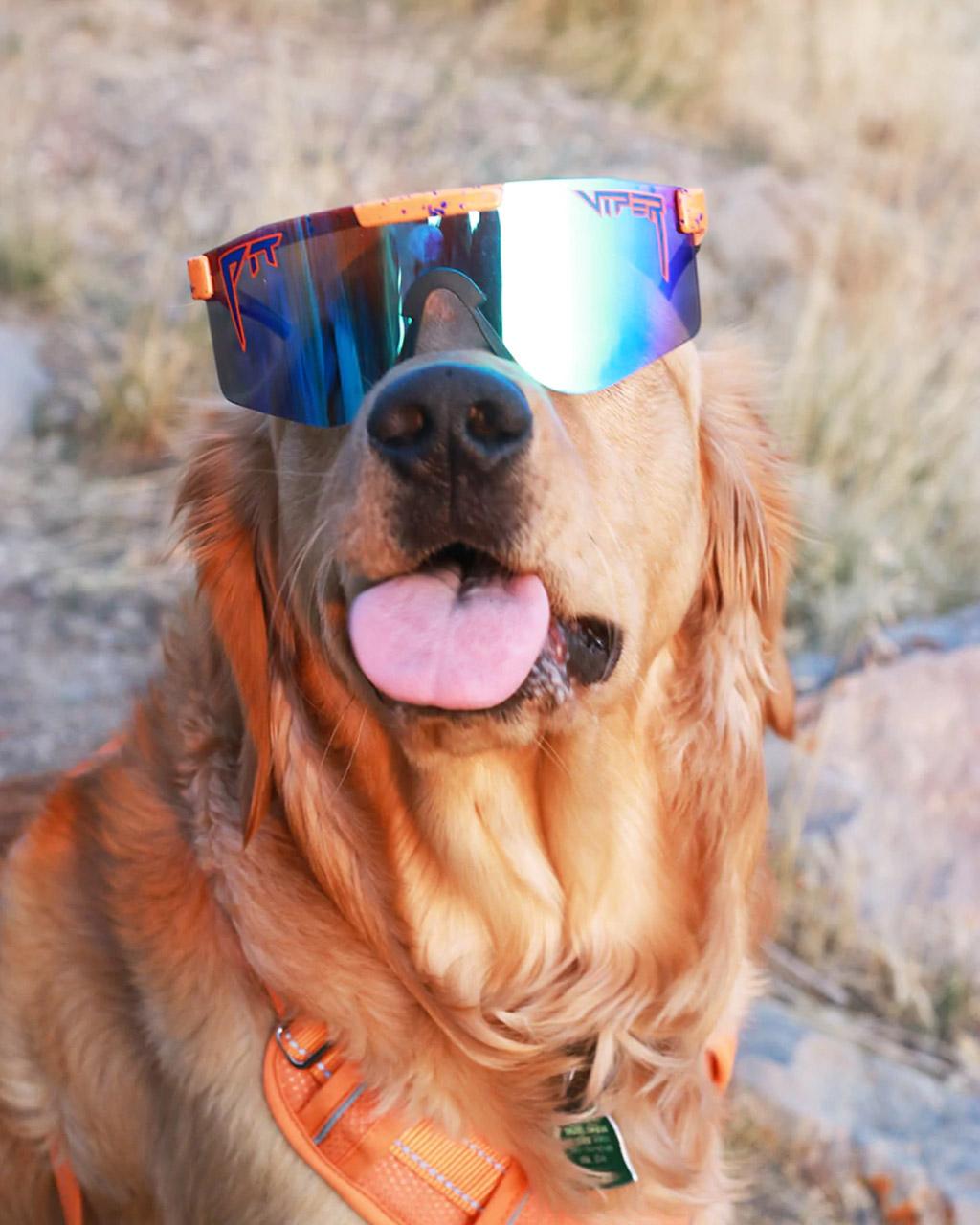 Product gallery image number 7 for product The Crush Polarized Sunglasses