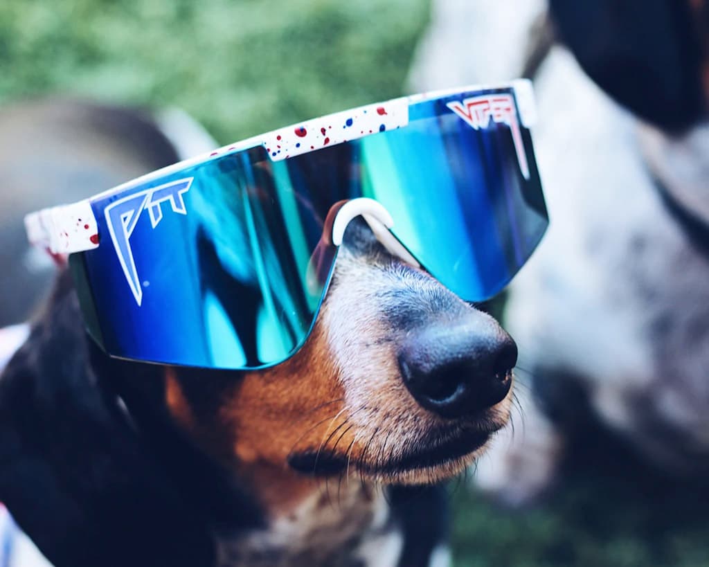 Product gallery image number 6 for product The Merika 2000's Sunglasses