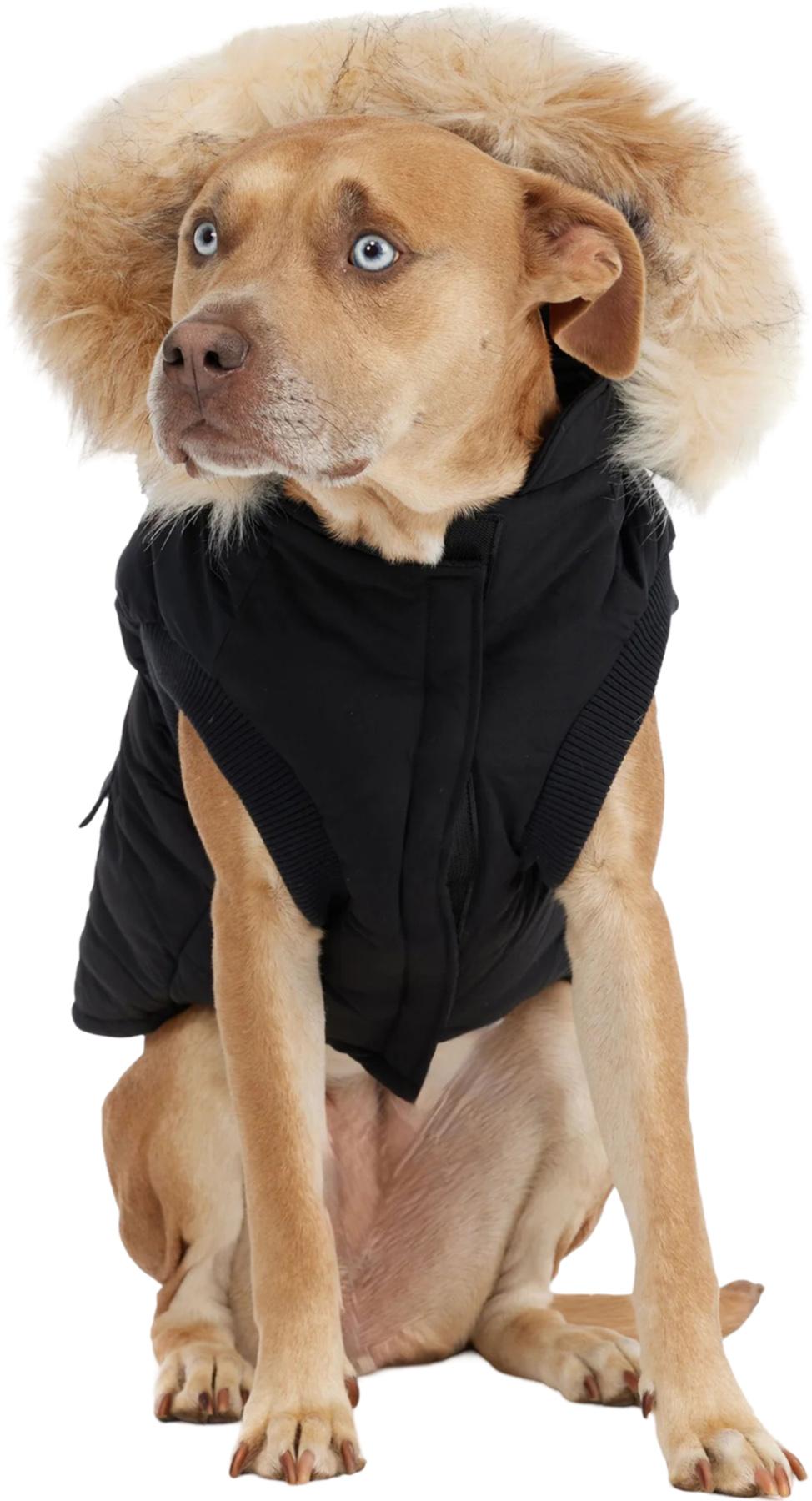 Product gallery image number 5 for product Manteau avec bordure en fausse fourrure pour chiens Zeus