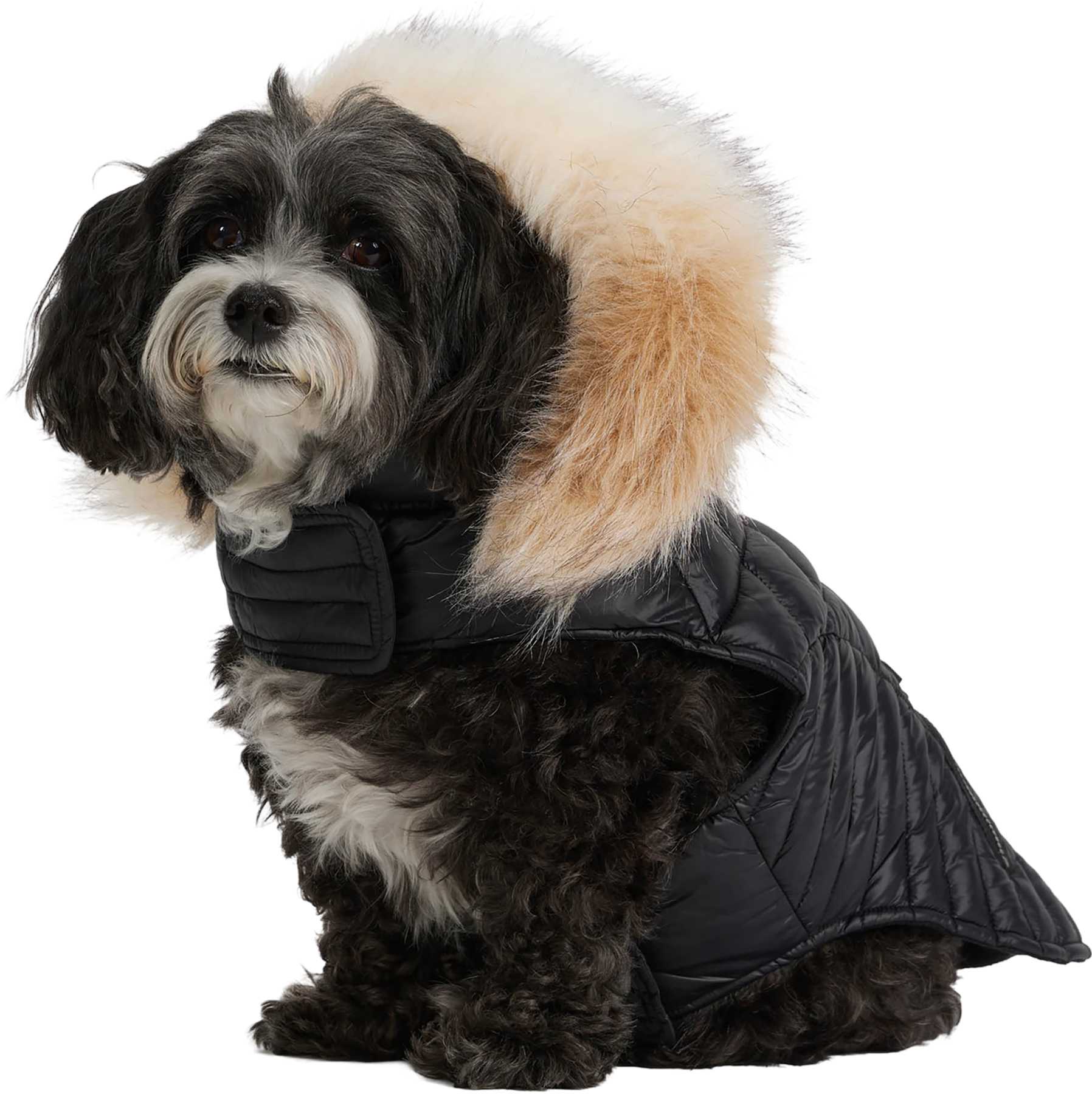 Product image for Zola Faux Fur Trim Jacket for Dogs