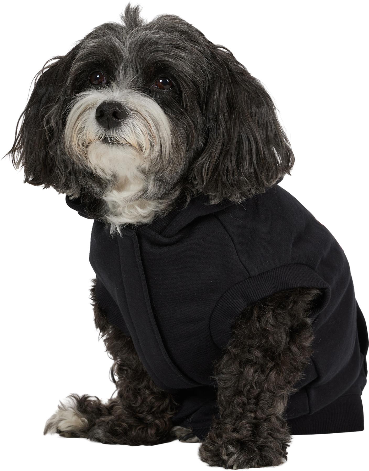 Numéro de l'image de la galerie de produits 3 pour le produit Chandail à capuchon pour chiens Dash