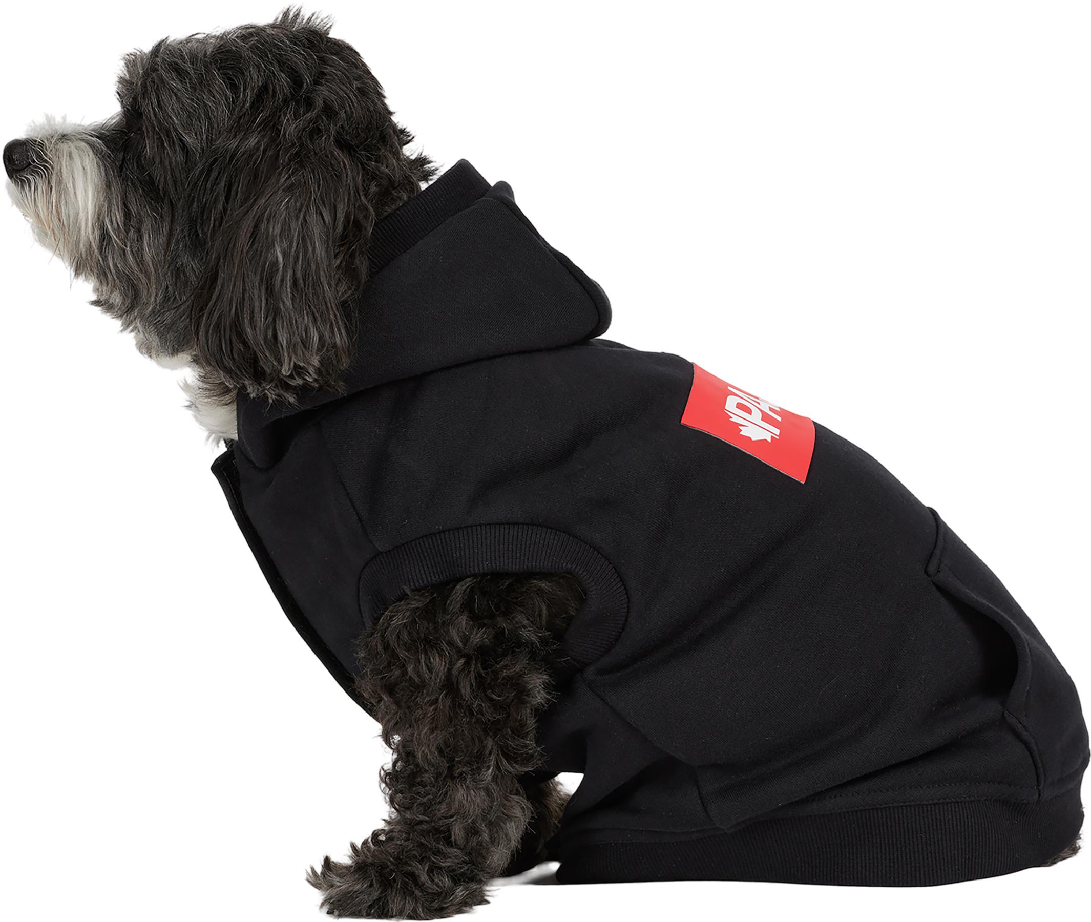 Numéro de l'image de la galerie de produits 4 pour le produit Chandail à capuchon pour chiens Dash