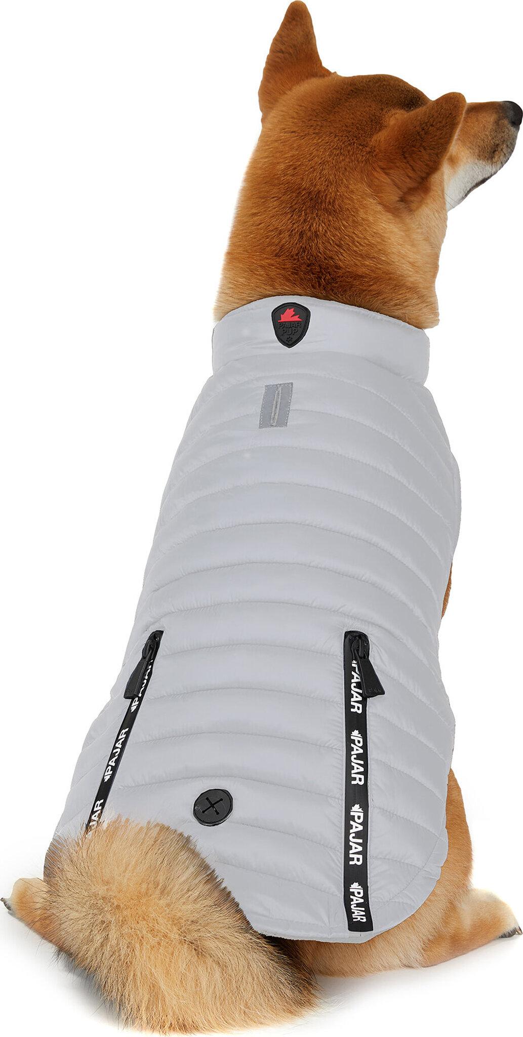 Product gallery image number 2 for product Spencer Coat for Dogs with Collar