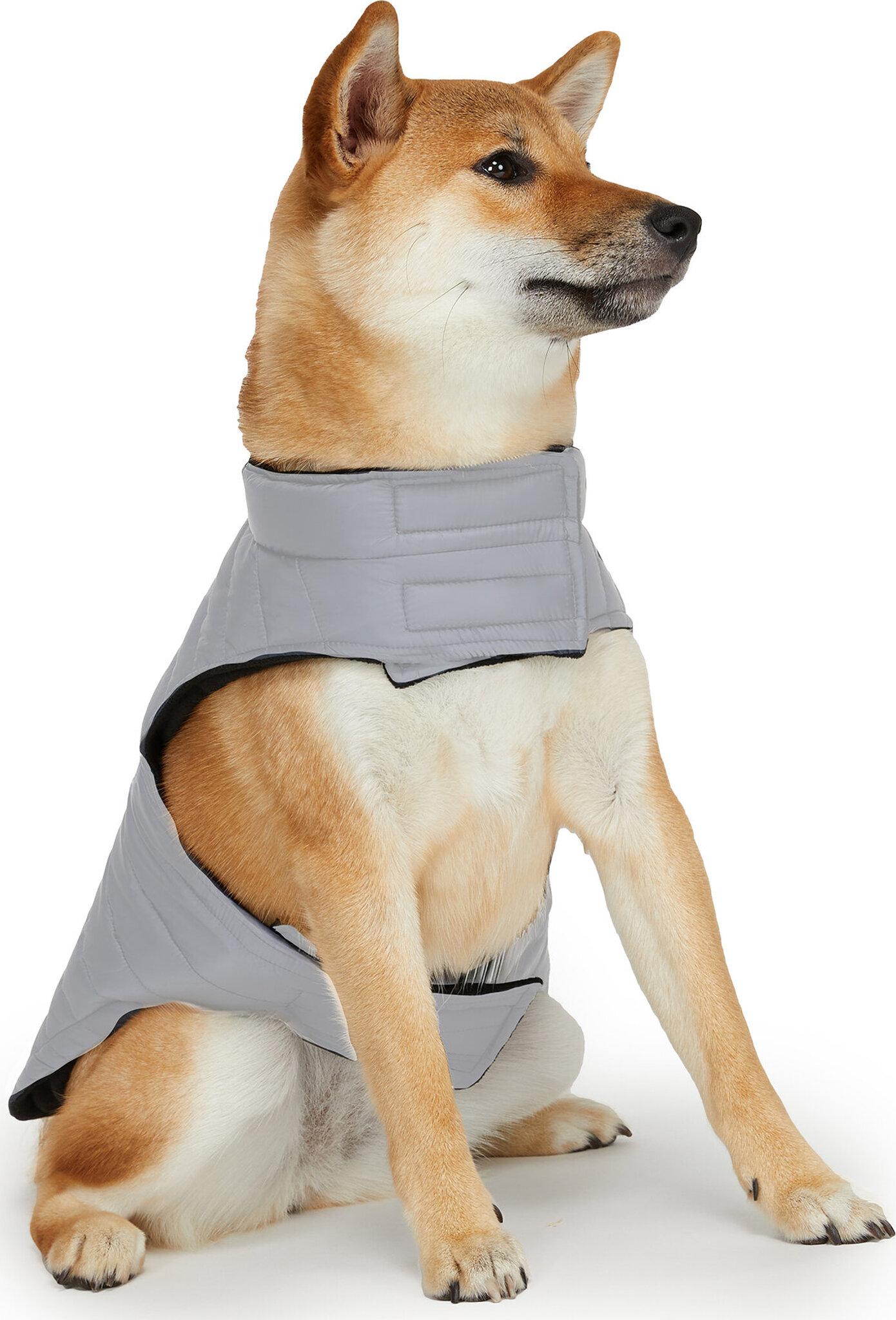 Product gallery image number 3 for product Spencer Coat for Dogs with Collar