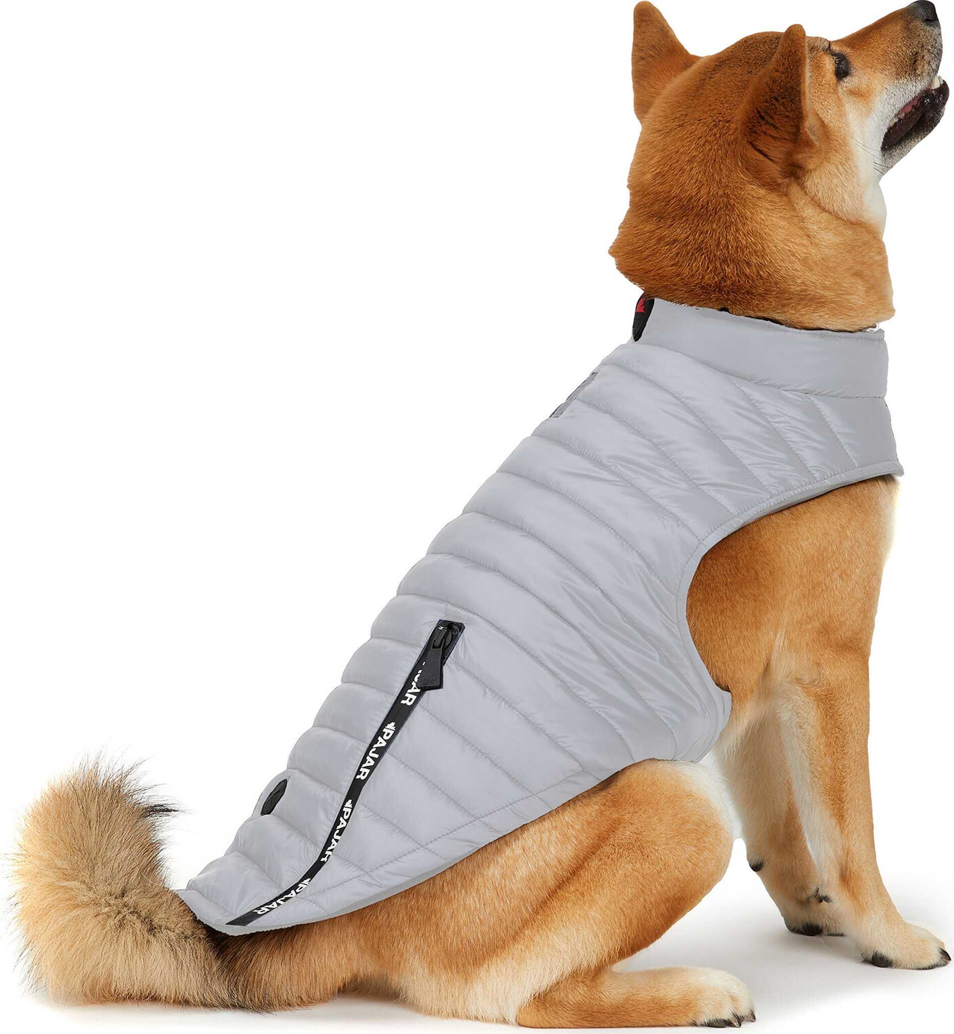 Product image for Spencer Coat for Dogs with Collar