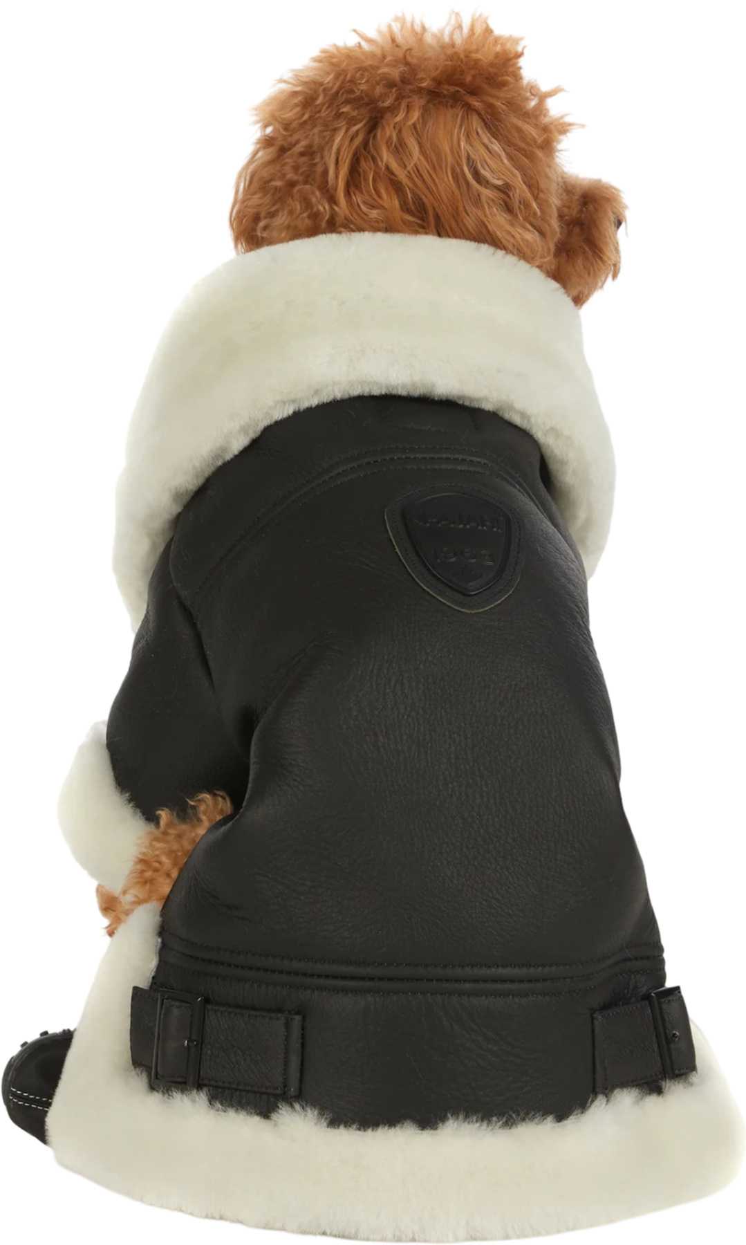 Product image for Preston Luxury Faux Shearling Coat for Dogs