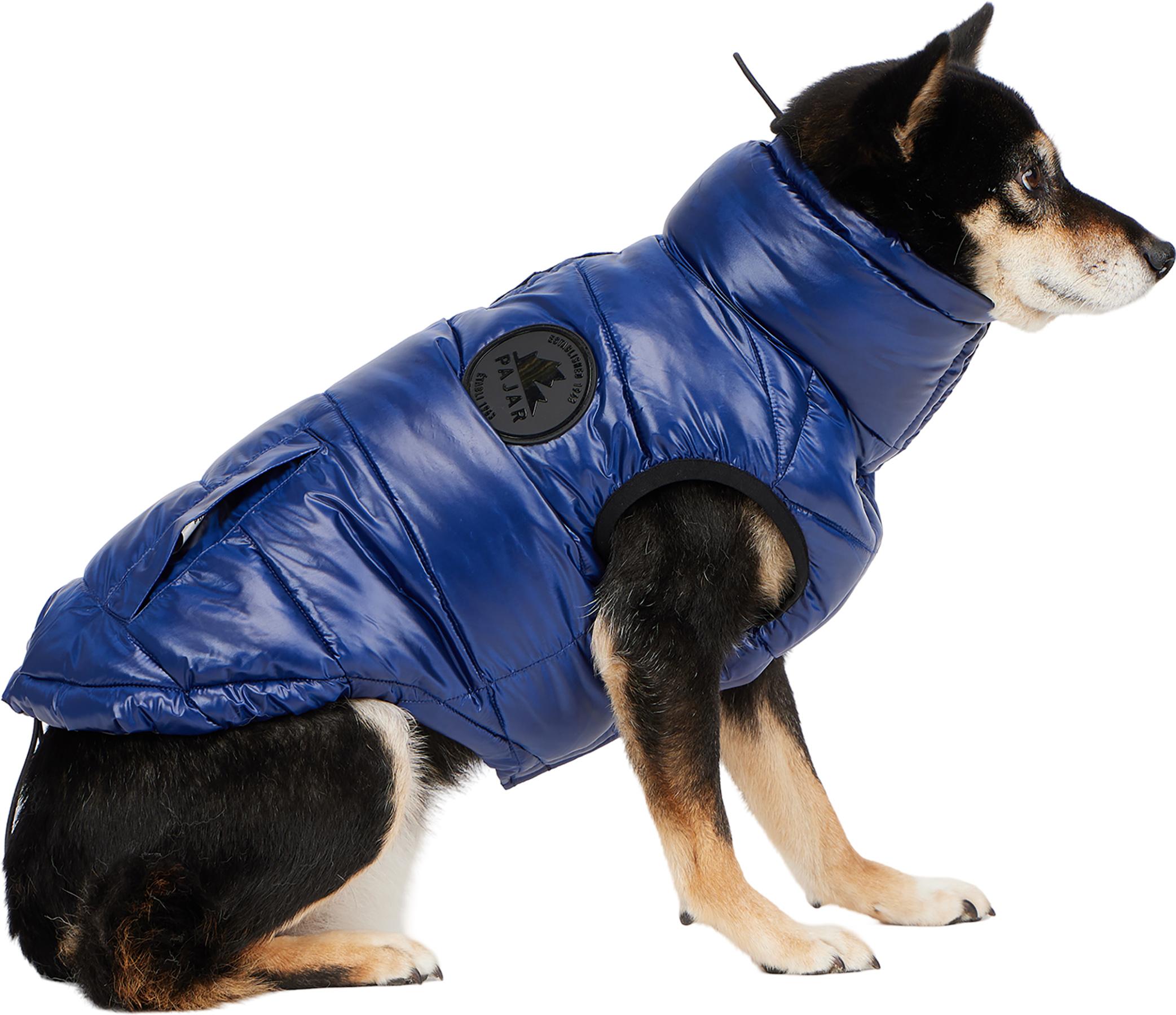 Product gallery image number 3 for product Theo Packable Channel Quilted Puffer Jacket with Collar for Dogs