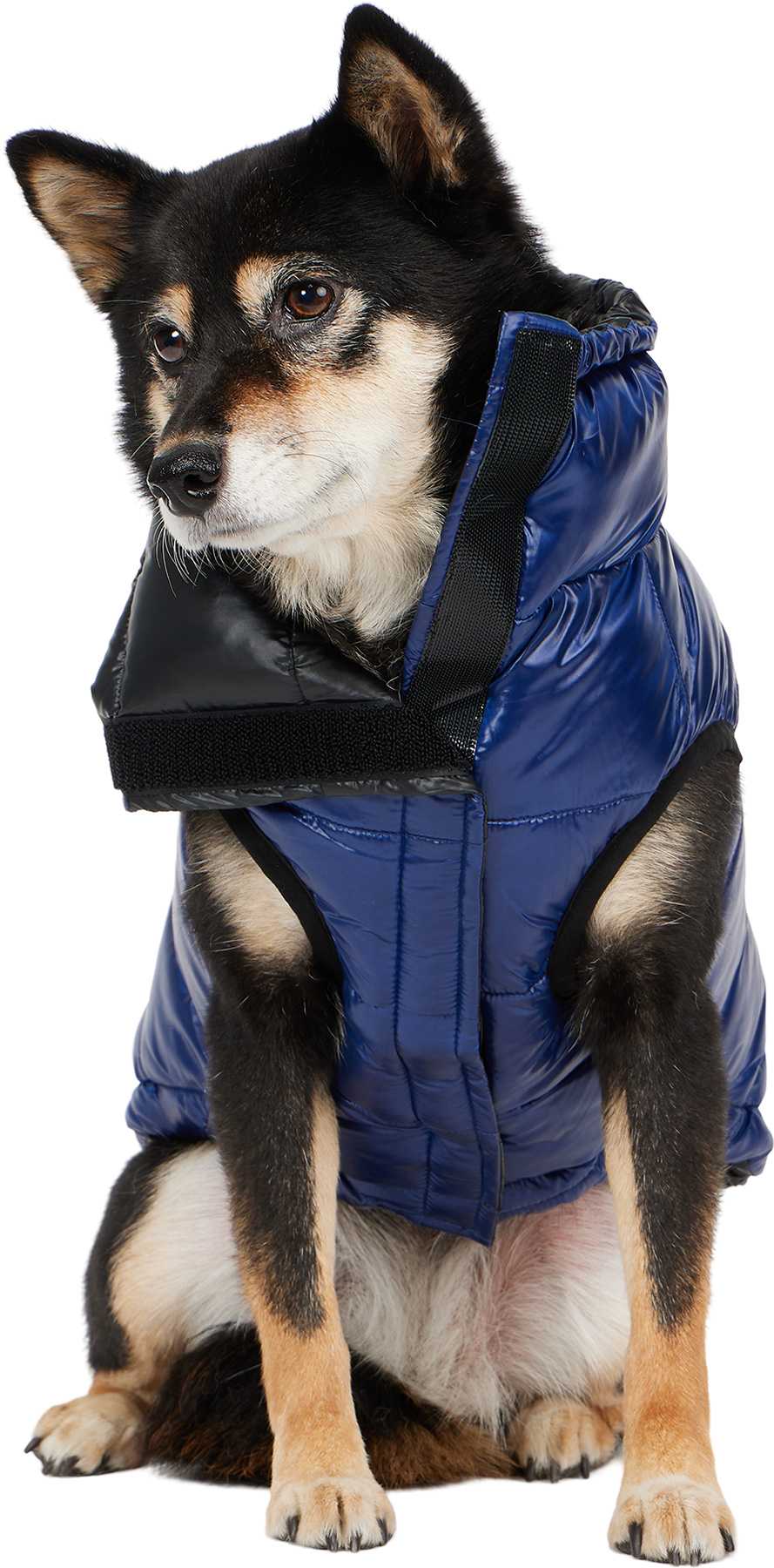 Product image for Theo Packable Channel Quilted Puffer Jacket with Collar for Dogs