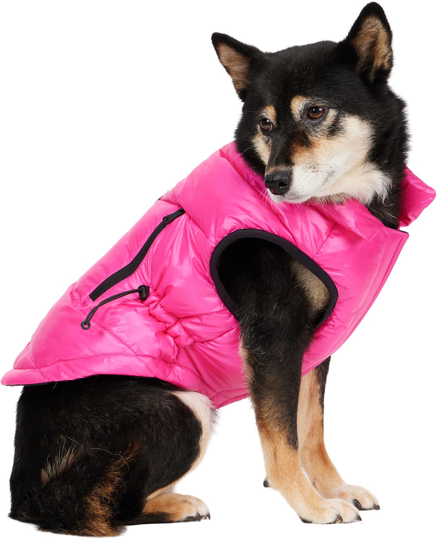 Product gallery image number 1 for product Rosie Quilted Coat with Zipper Pockets Cinched Waist for Dogs