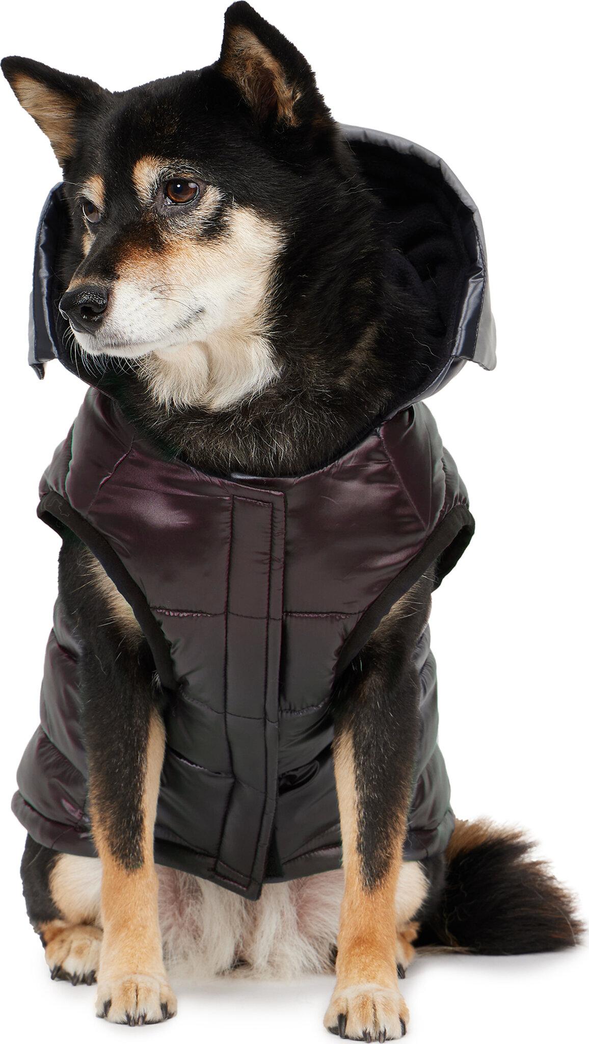 Product gallery image number 3 for product Miles Multi Quilted Coat with Reflective Visor for Dogs