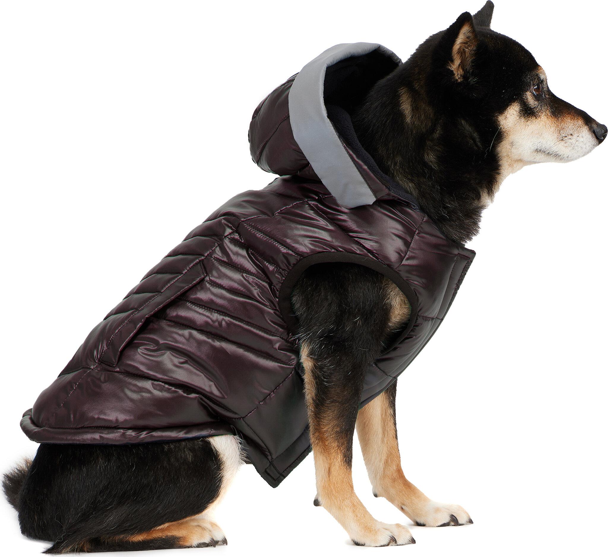 Product gallery image number 2 for product Miles Multi Quilted Coat with Reflective Visor for Dogs