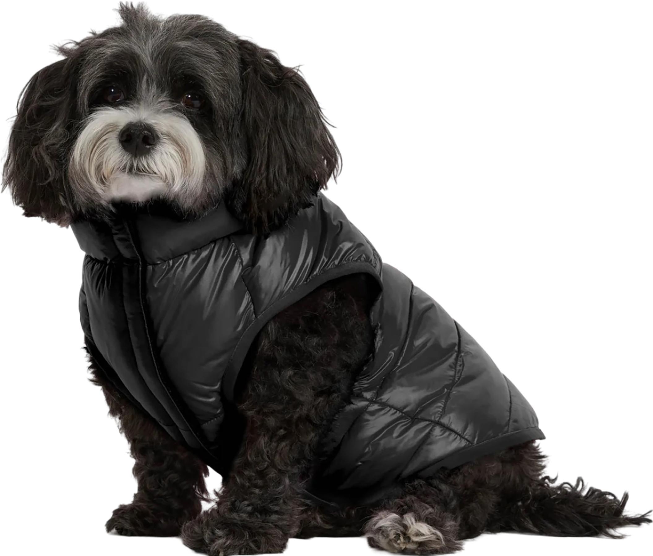 Numéro de l'image de la galerie de produits 2 pour le produit Manteau matelassée réversible et pliable pour chiens Cora