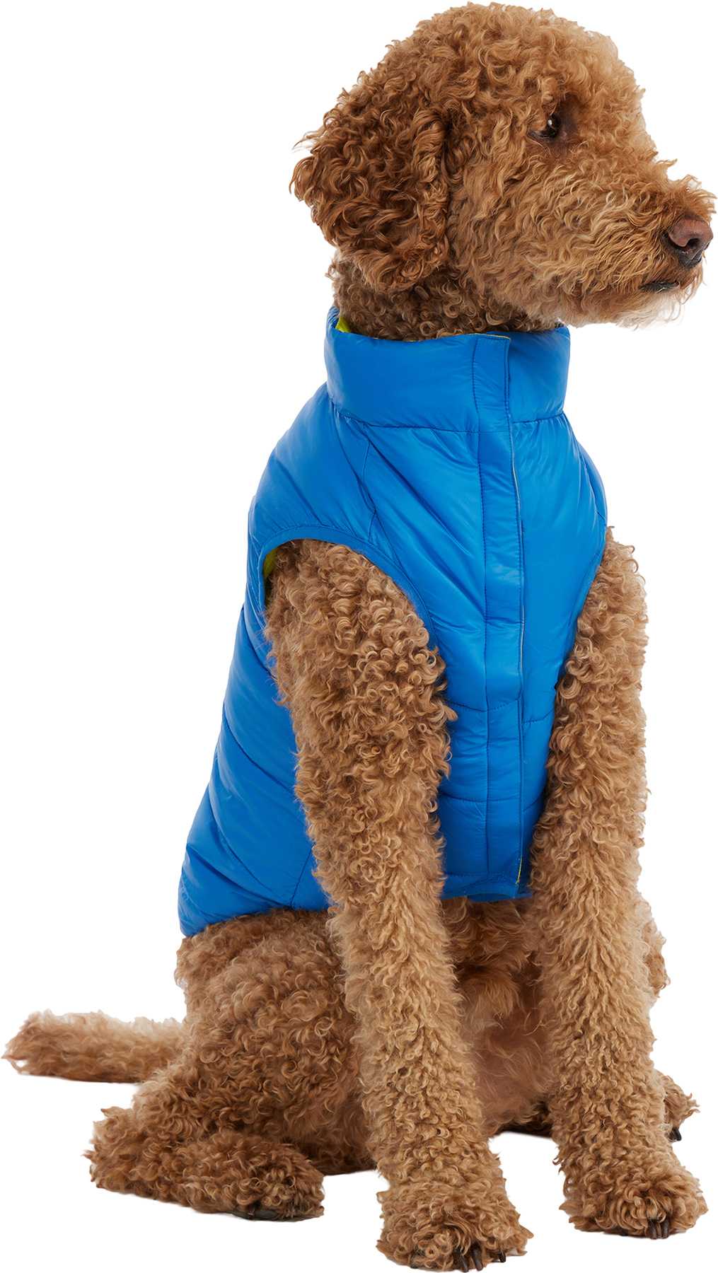 Product image for Cora Reversible Packable Puffer Jacket for Dogs