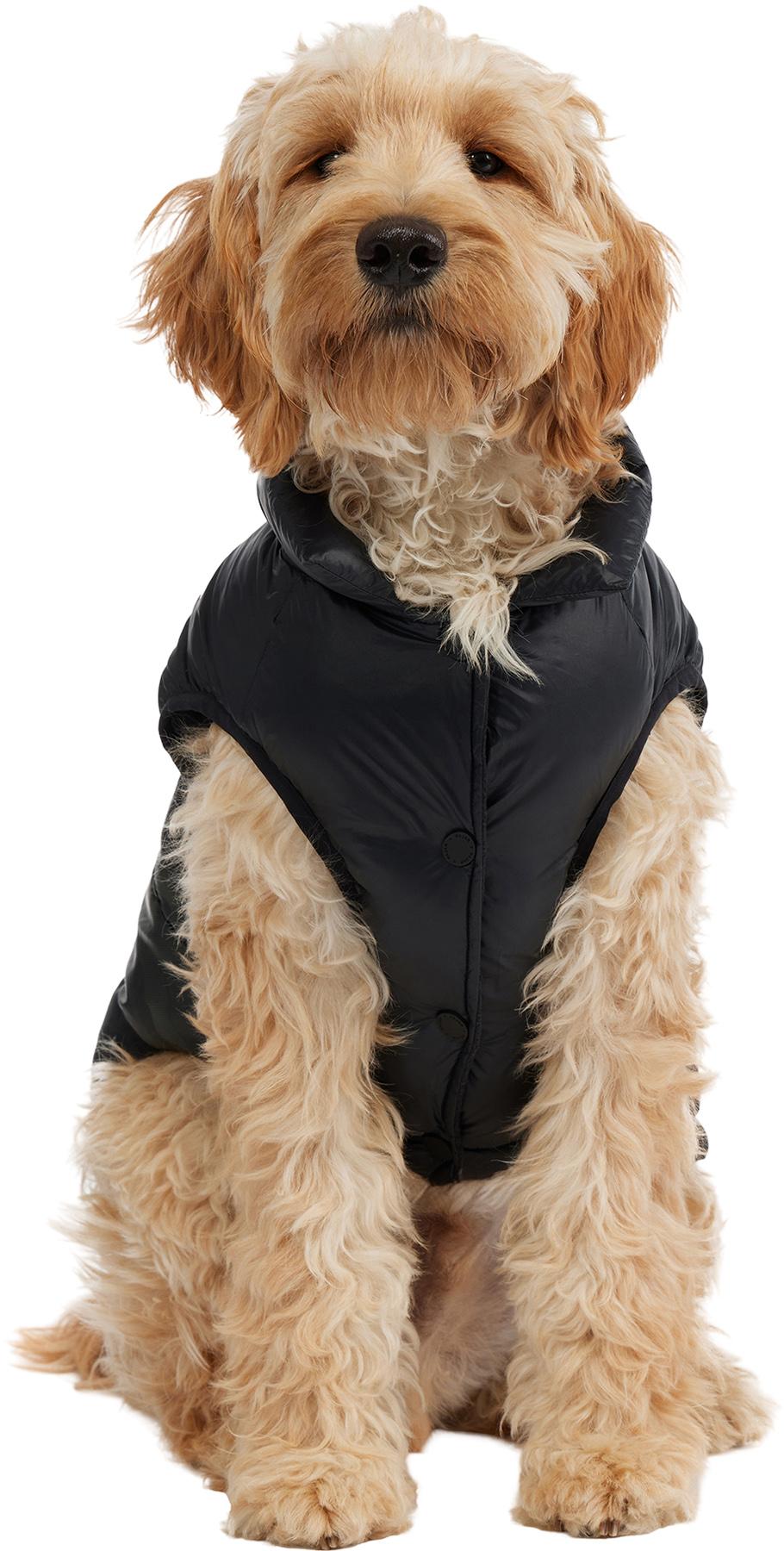Product gallery image number 3 for product Alexis Jacket for Dogs
