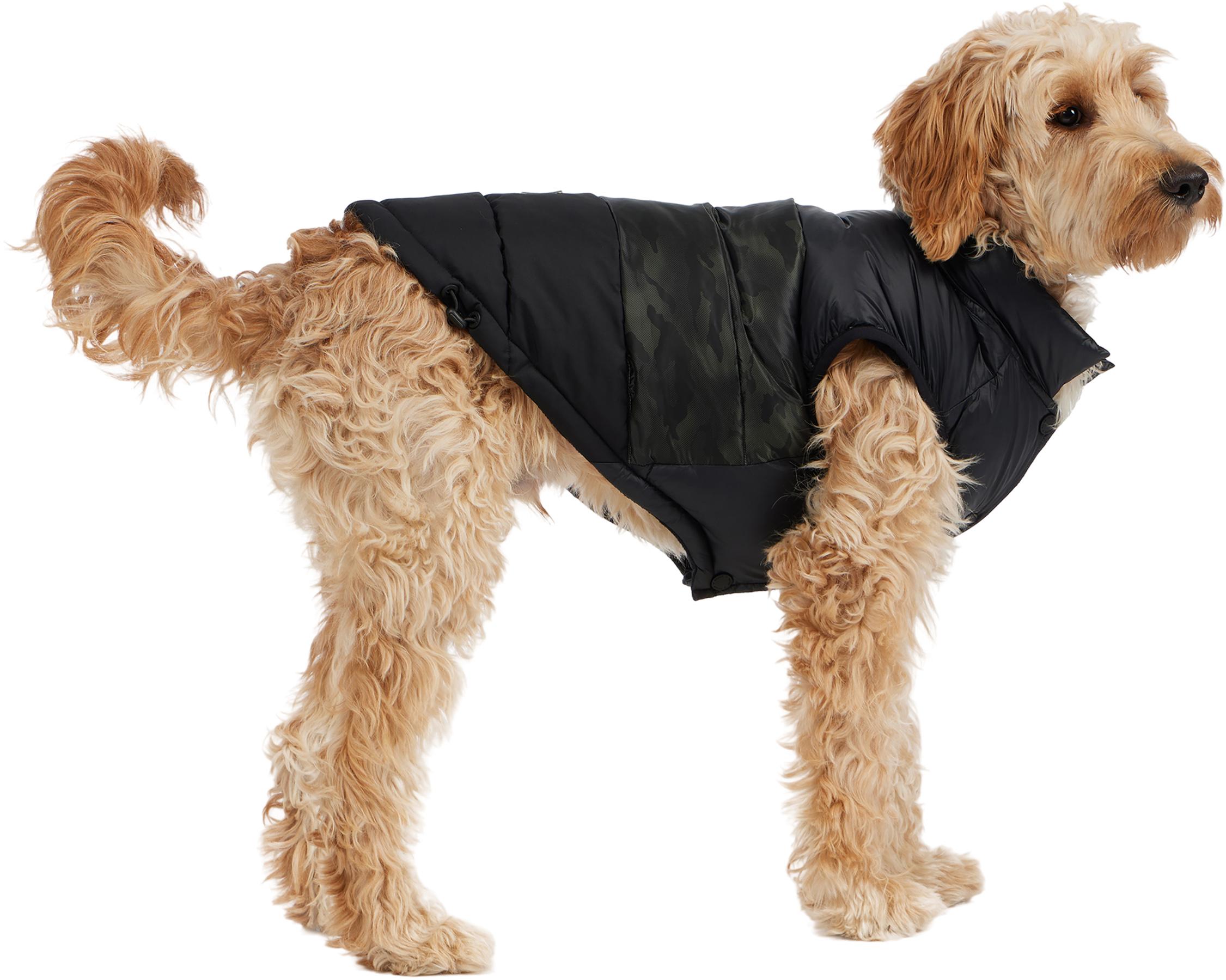 Product gallery image number 4 for product Alexis Jacket for Dogs