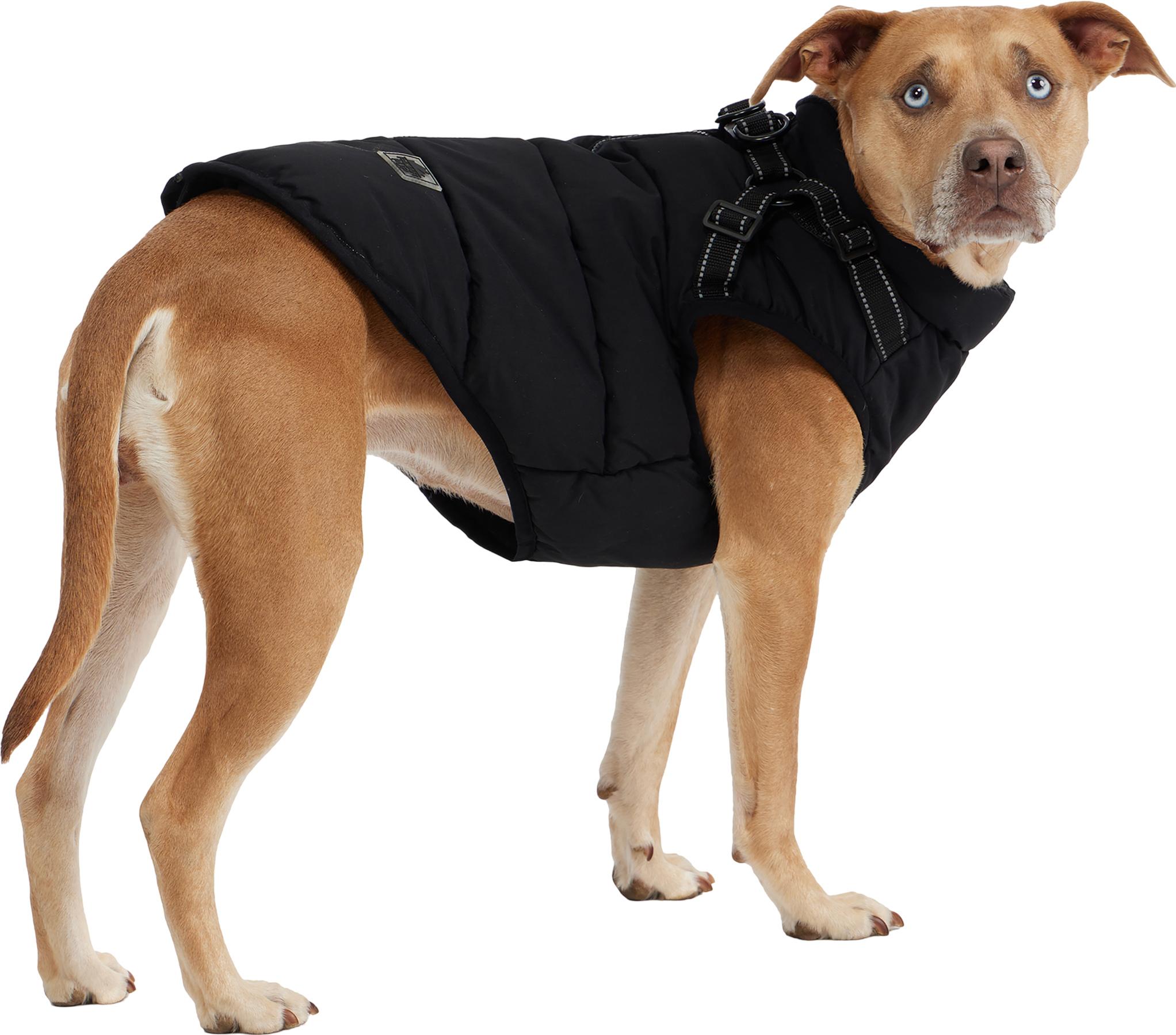 Product gallery image number 4 for product Atlas Puffer Jacket with Built-In Harness for Dogs