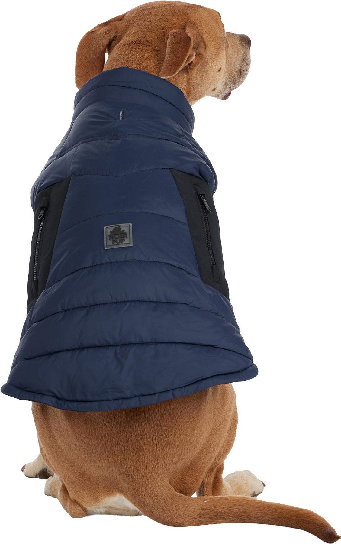 Product gallery image number 2 for product Beau Jacket with Leash Attachment for Dogs
