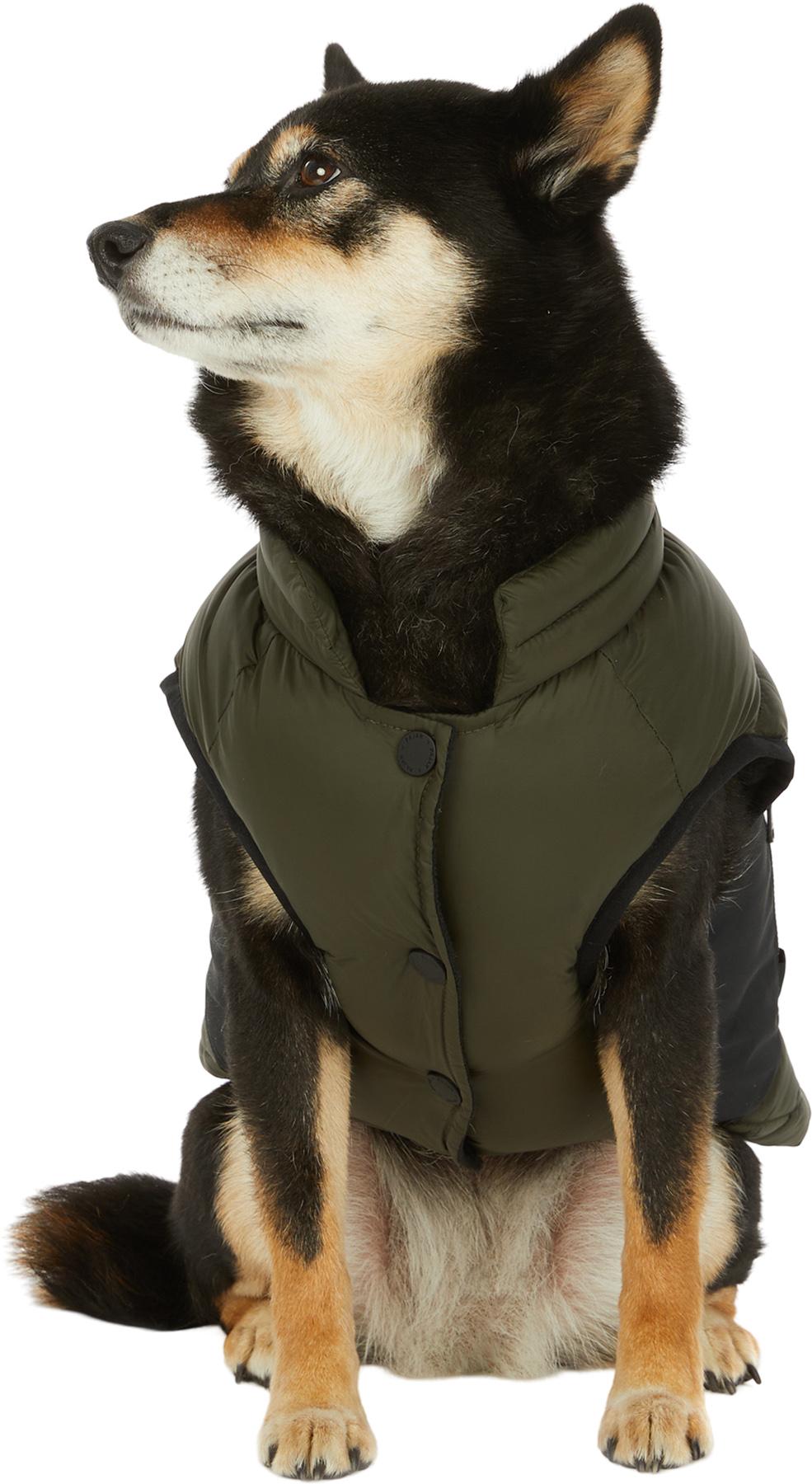 Product gallery image number 3 for product Beau Jacket with Leash Attachment for Dogs