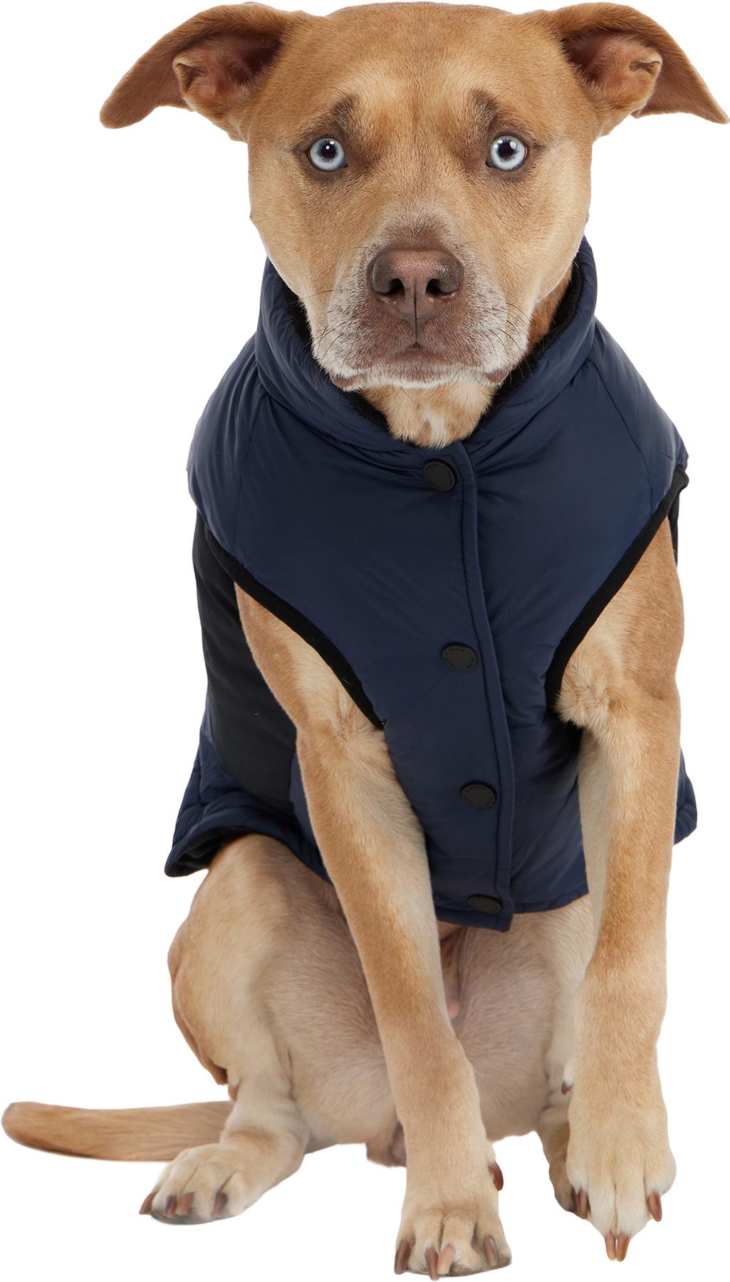 Product gallery image number 3 for product Beau Jacket with Leash Attachment for Dogs