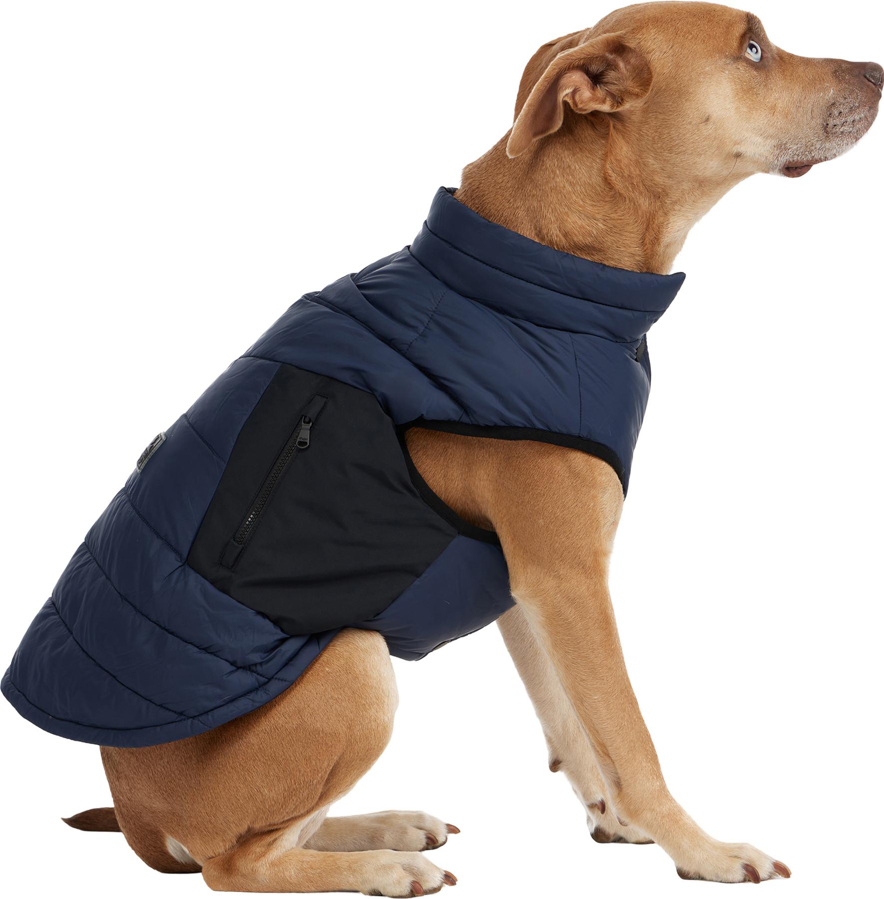 Product gallery image number 4 for product Beau Jacket with Leash Attachment for Dogs