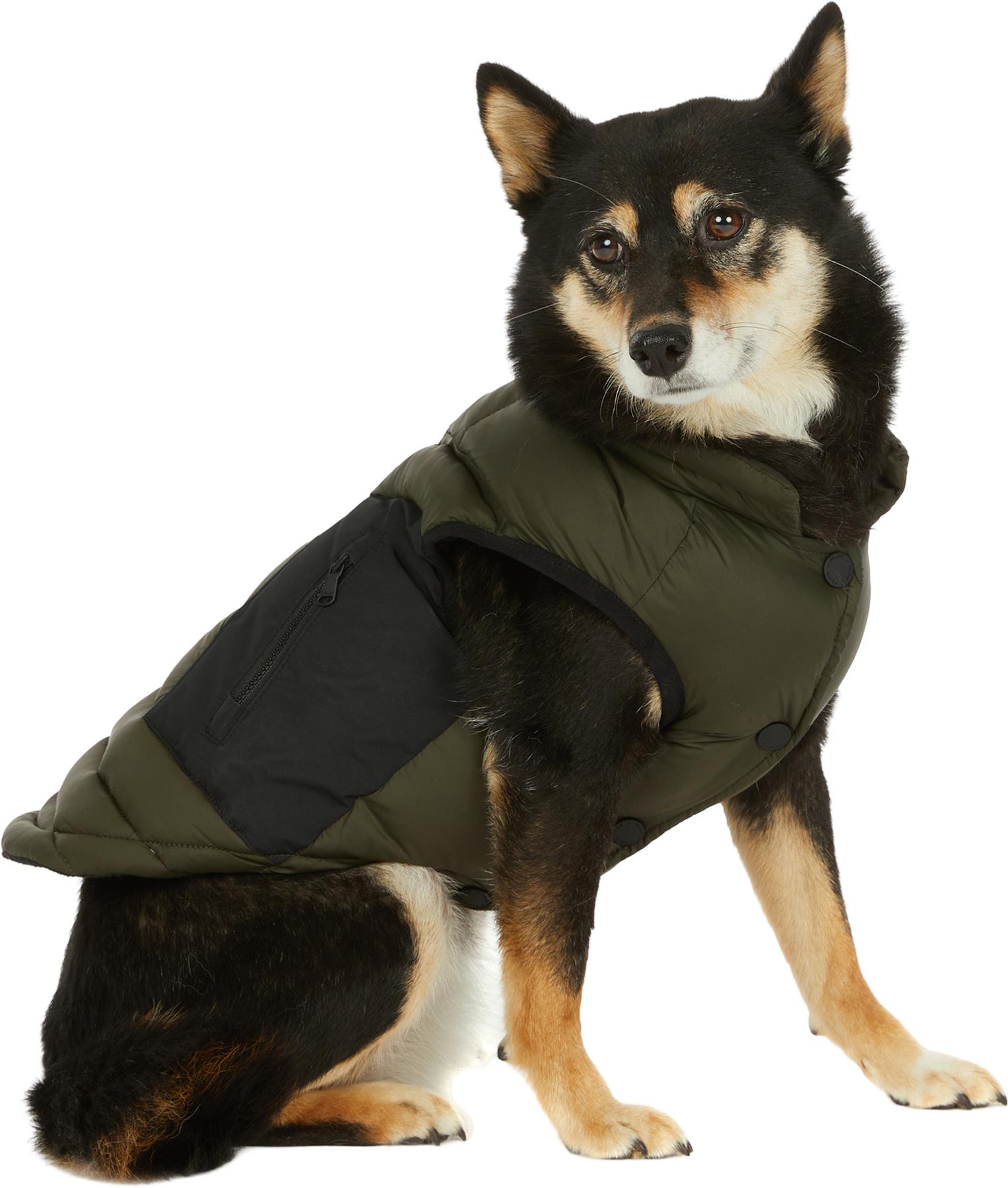 Product gallery image number 1 for product Beau Jacket with Leash Attachment for Dogs