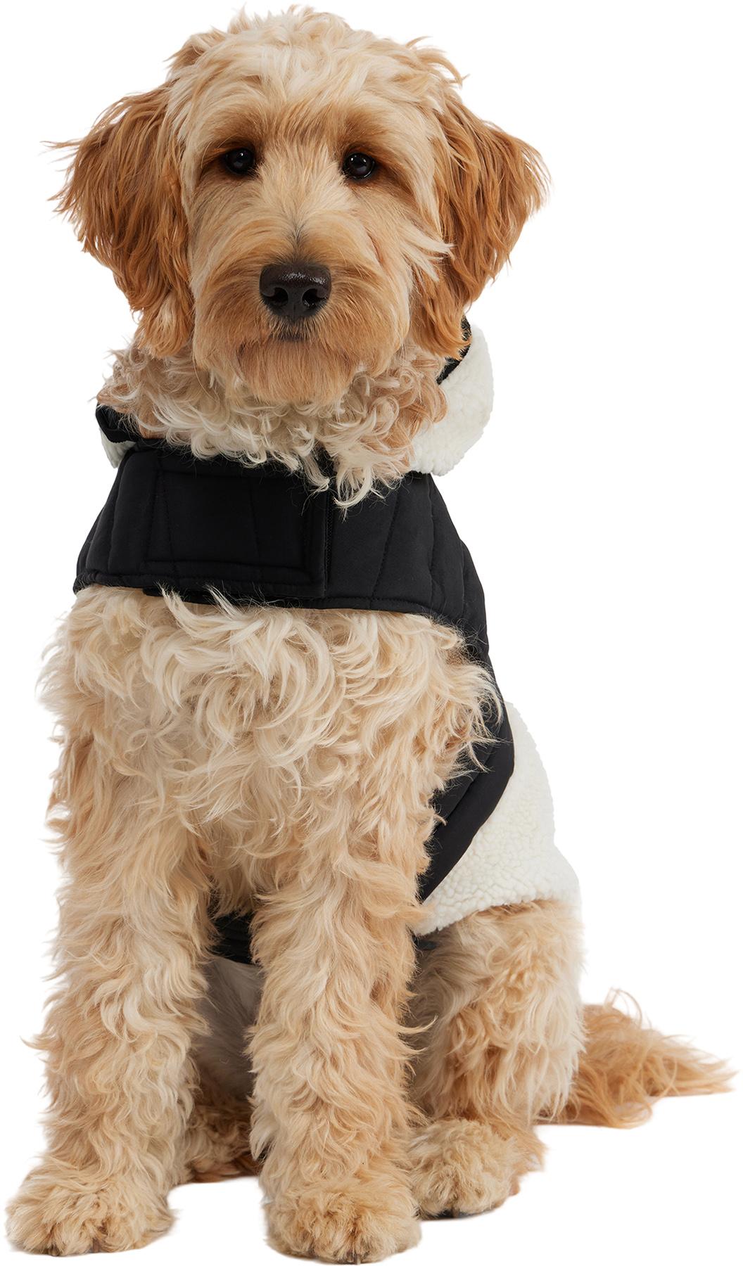 Product gallery image number 3 for product Loki Jacket with Hood for Dogs