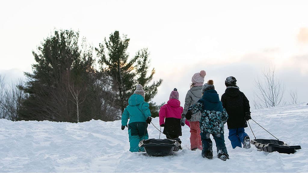 Product gallery image number 4 for product Nomad 40 Utility Sled