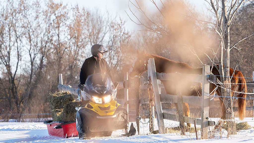 Product gallery image number 3 for product Luge utilitaire Trek Sport 94 avec patins, attelage de remorque et housse de protection