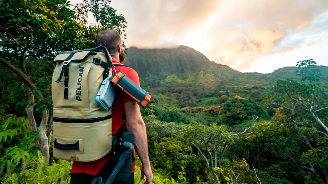 Numéro de l'image de la galerie de produits 6 pour le produit Glacière sac-à-dos DayVenture