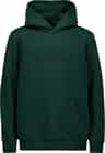 Colour: Pargasite Green