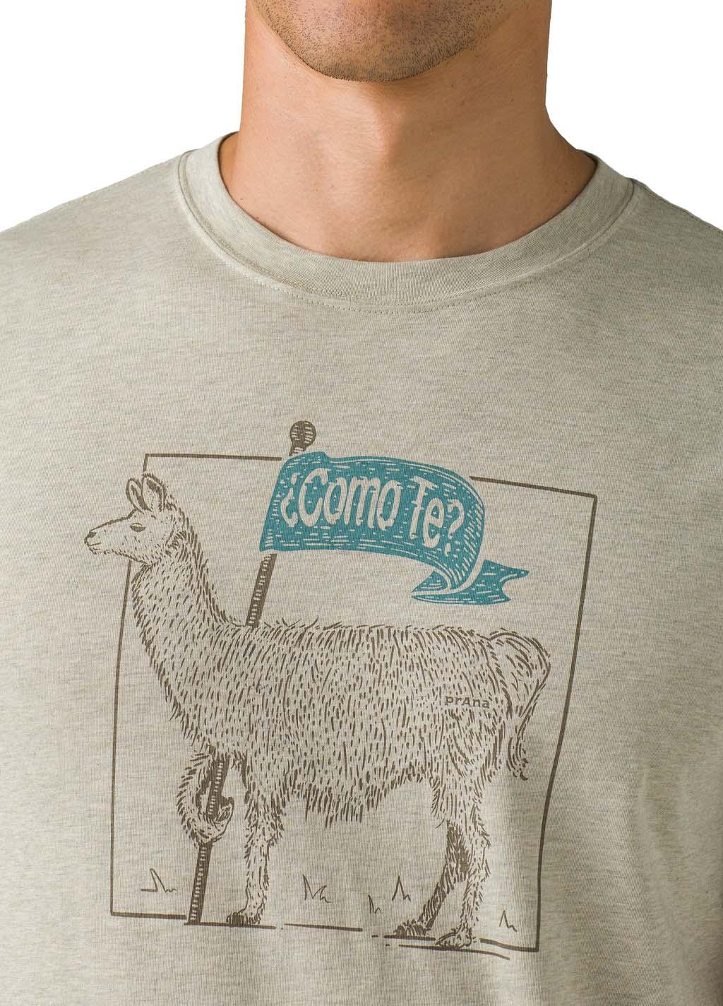 Product gallery image number 3 for product Como Te Llama Journeyman 2 T-shirt - Men's