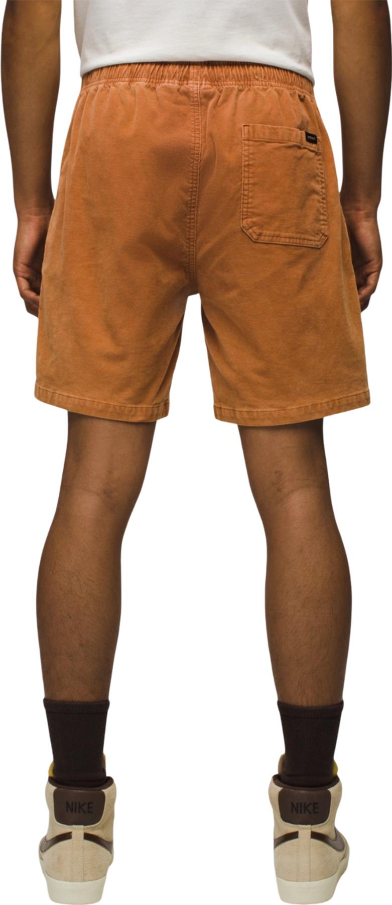 Product gallery image number 3 for product Canyon Camp Shorts - Men's