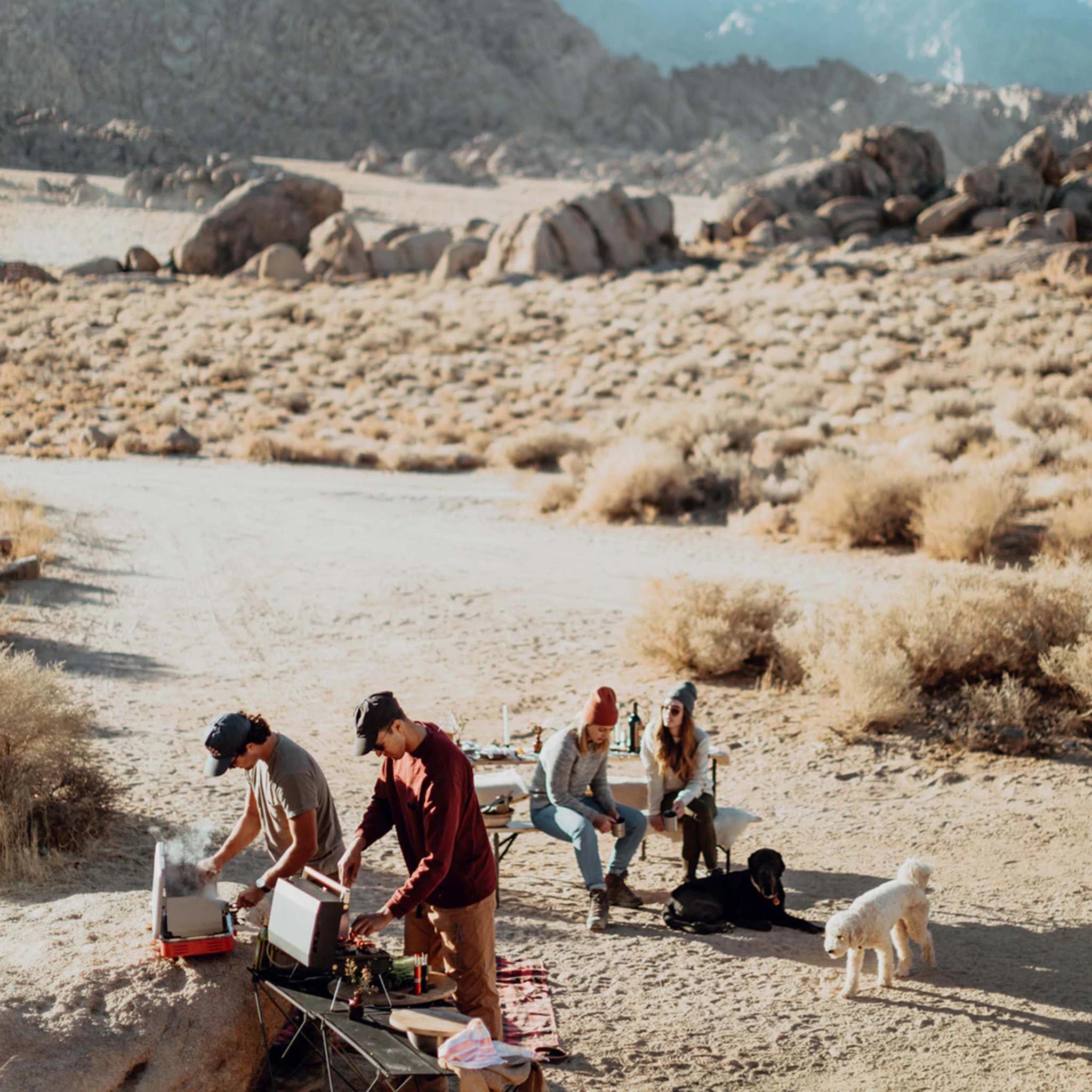 Product gallery image number 7 for product Profile Dual Stove