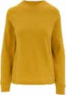 Colour: Sahara