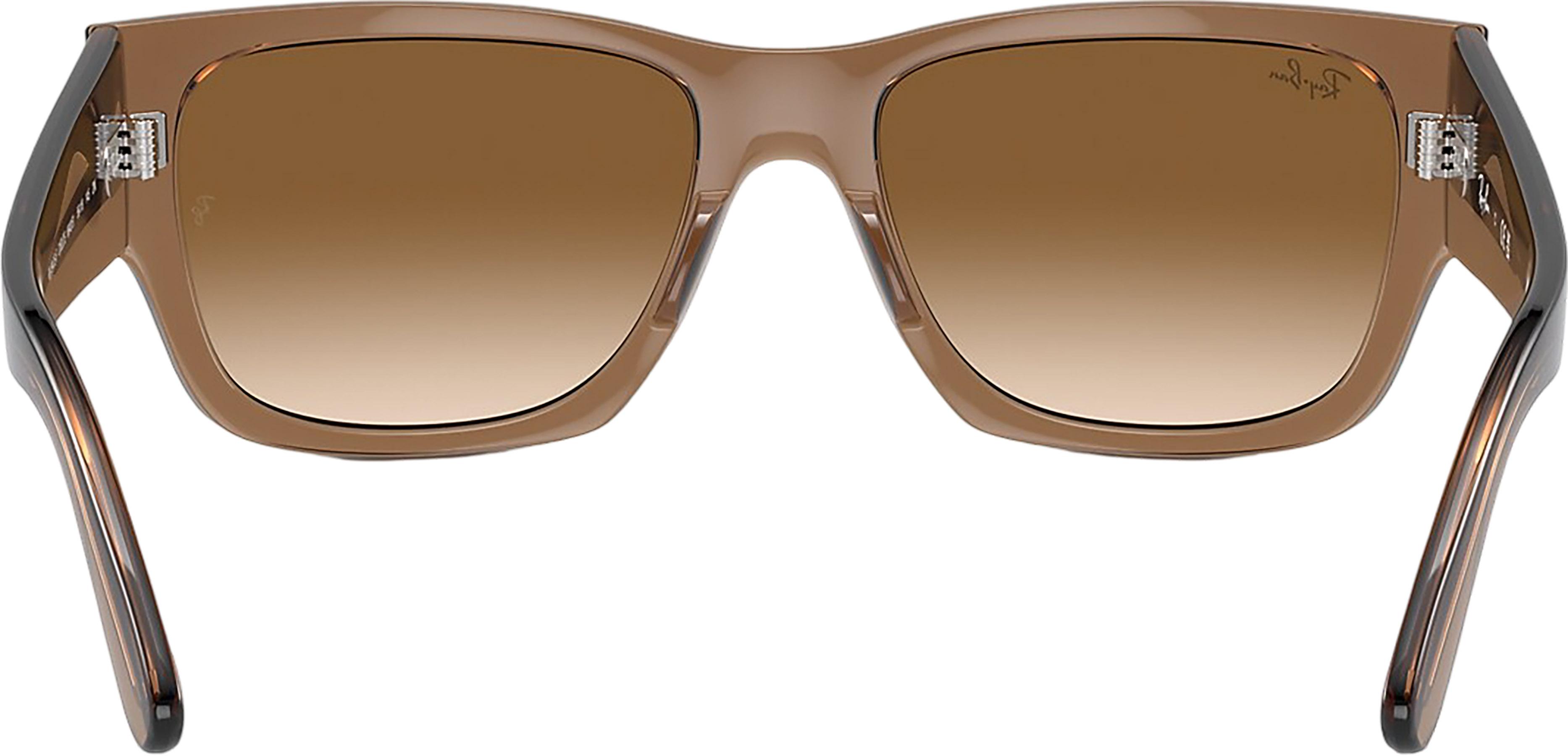 Product gallery image number 3 for product Carlos Sunglasses - Polished Transparent Light Brown - Clear and Brown Lens - Unisex