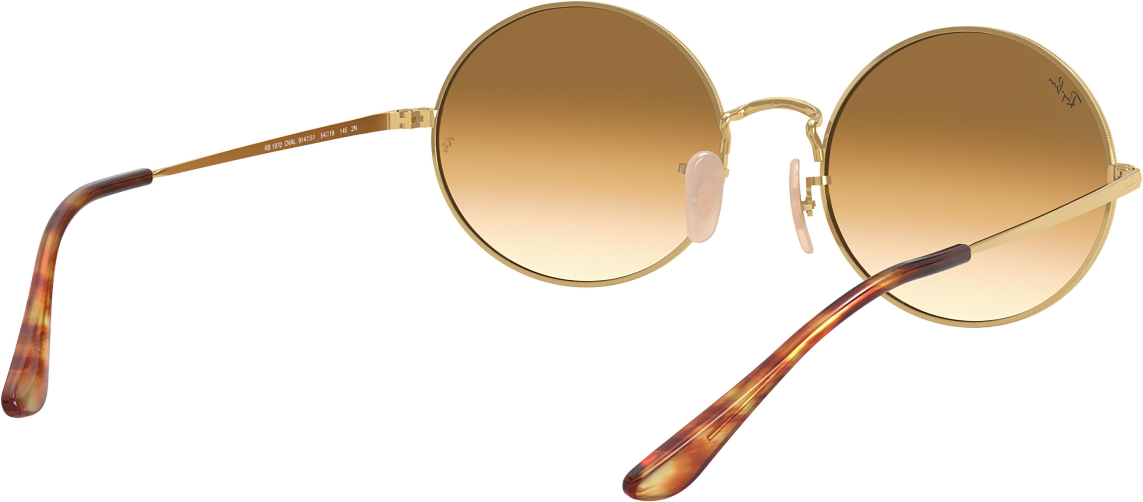 Product gallery image number 3 for product Oval 1970 Sunglasses - Unisex