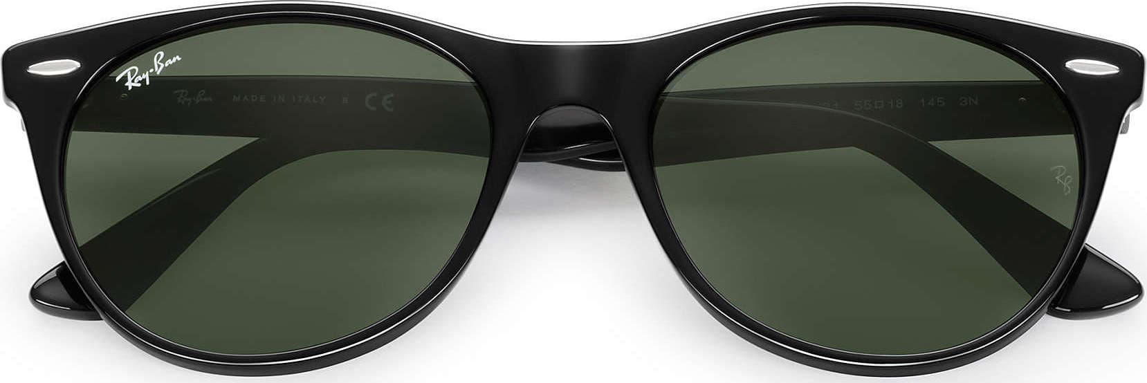Product gallery image number 4 for product Wayfarer II Evolve - Black - Green Classic G-15