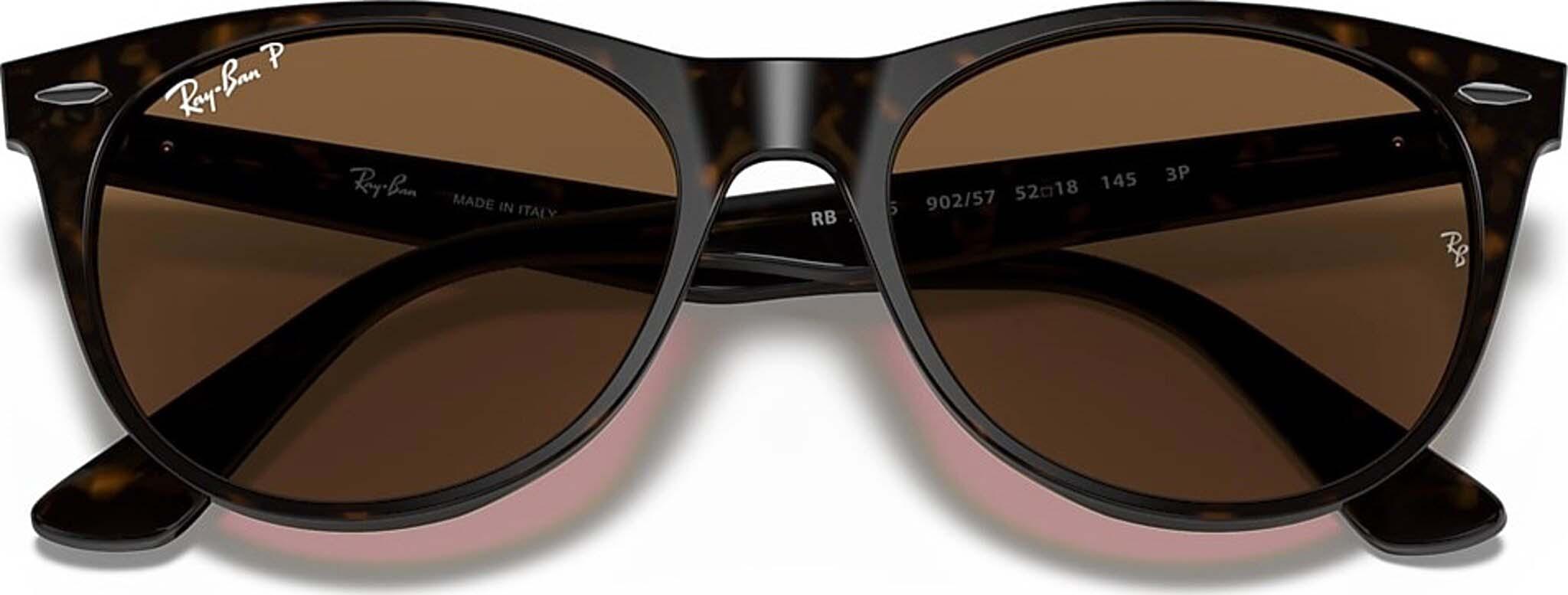 Product gallery image number 5 for product Wayfarer II Classic Sunglasses