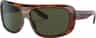 Couleur: Striped Havana - Green