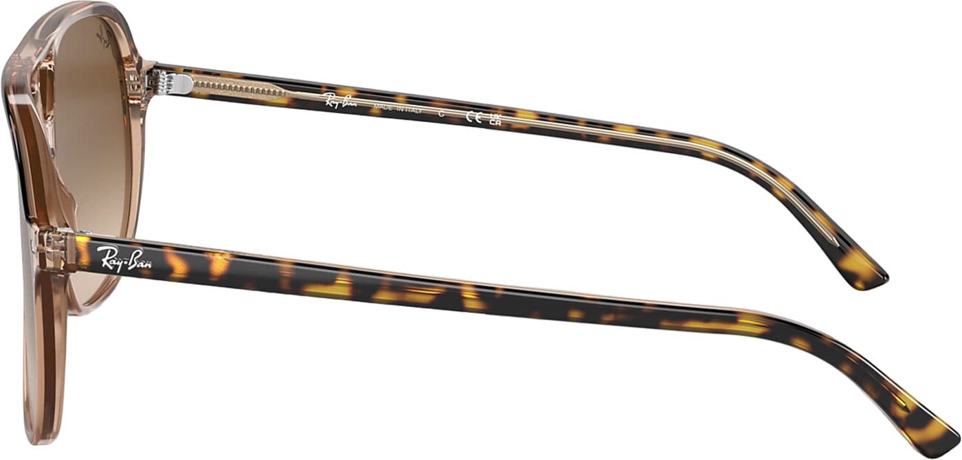 Product gallery image number 5 for product Bill Sunglasses - Unisex