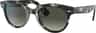 Couleur: Gray Havana - Grey Gradient Dark Grey