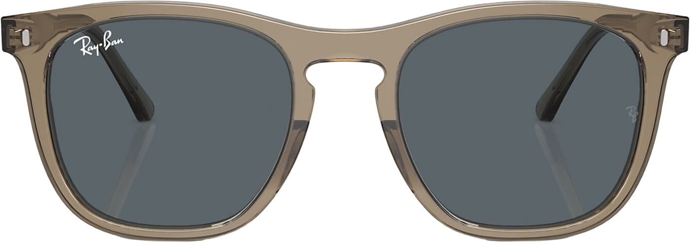 Product gallery image number 3 for product RB2210 Sunglasses - Polished Transparent Light Brown - Green Lens - Unisex