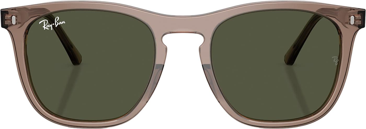 Product gallery image number 3 for product RB2210 Sunglasses - Polished Transparent Light Brown - Green Lens - Unisex