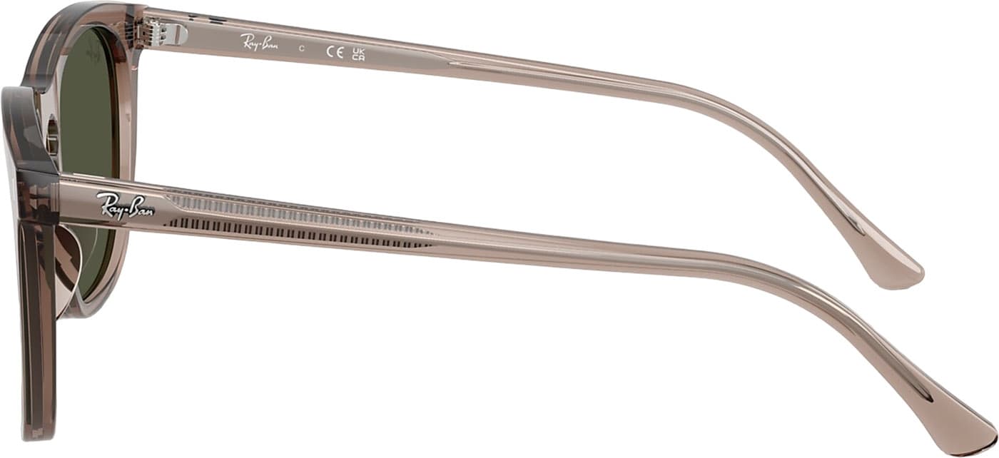 Product gallery image number 5 for product RB2210 Sunglasses - Polished Transparent Light Brown - Green Lens - Unisex