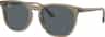 Colour: Transparent Light Brown Blue