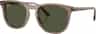 Colour: Transparent Light Brown Green