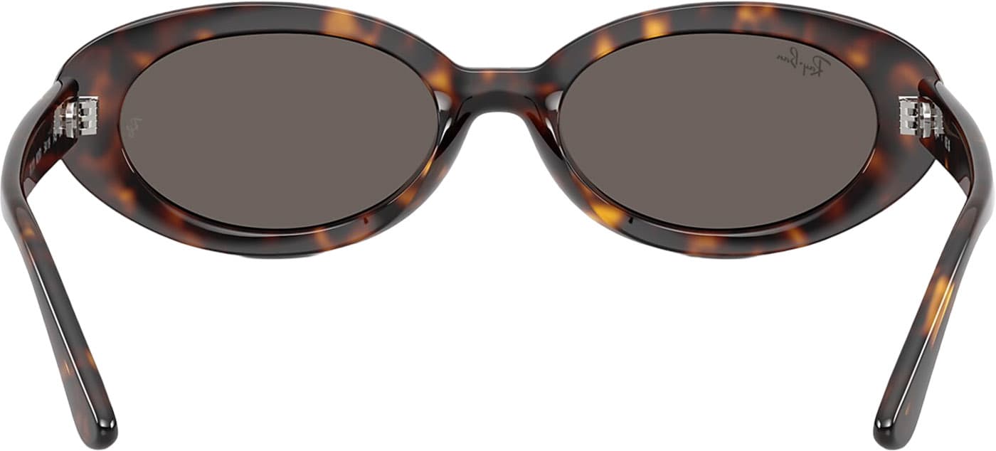 Product gallery image number 2 for product RB2223 Sunglasses - Polished Havana - Dark Grey Lens - Women's