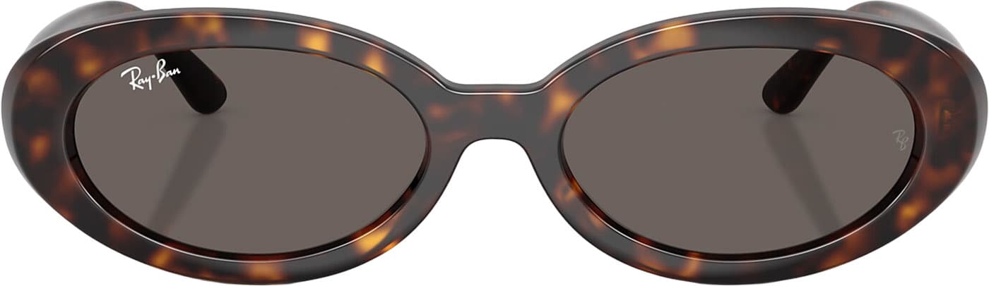 Product gallery image number 3 for product RB2223 Sunglasses - Polished Havana - Dark Grey Lens - Women's