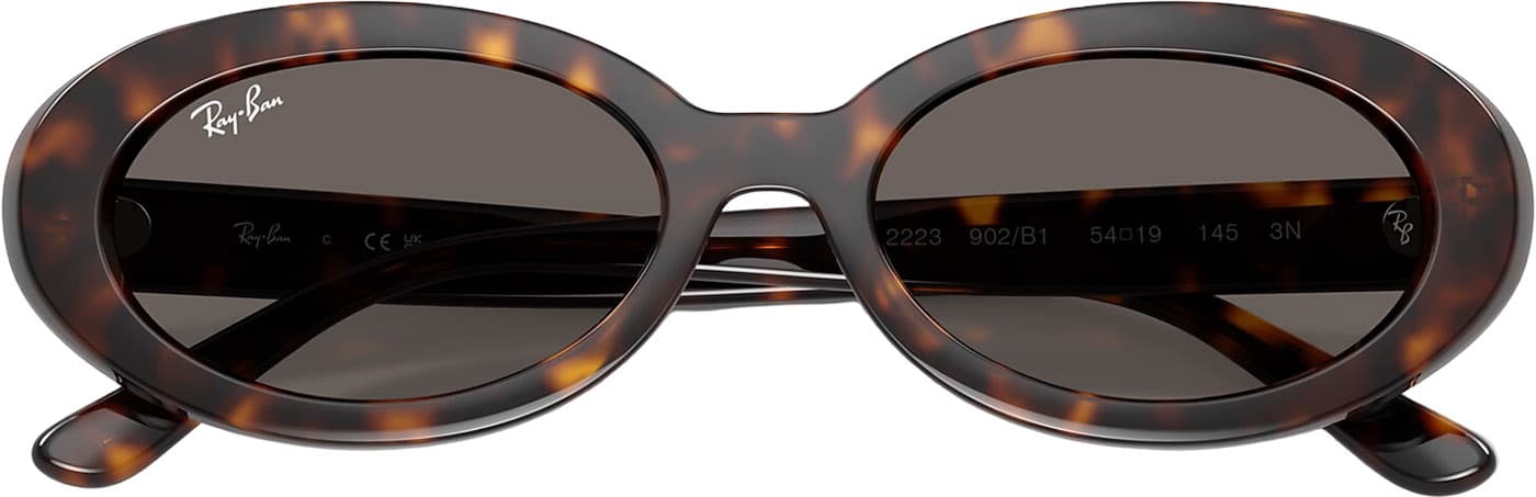 Product gallery image number 4 for product RB2223 Sunglasses - Polished Havana - Dark Grey Lens - Women's